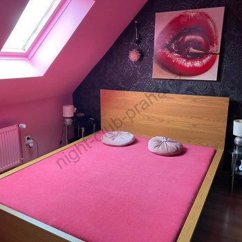 Gallery - foto č. 8